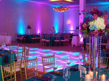 Lighted LED Dance Floor